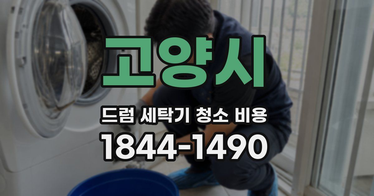 고양시 드럼 세탁기 청소 비용