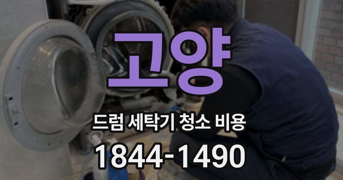 고양 드럼 세탁기 청소 비용