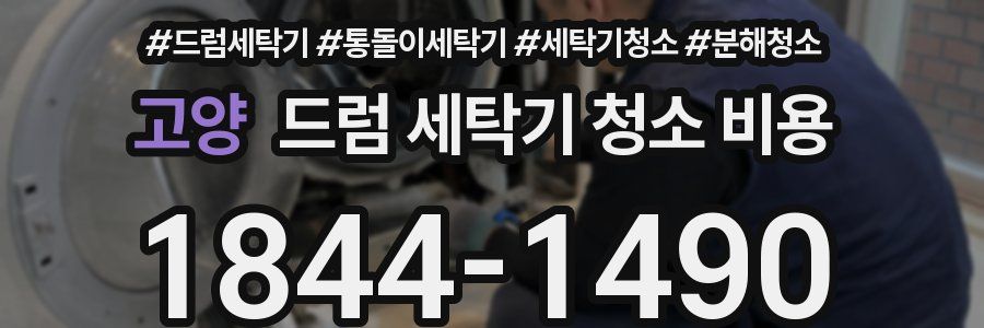 고양 드럼 세탁기 청소 비용