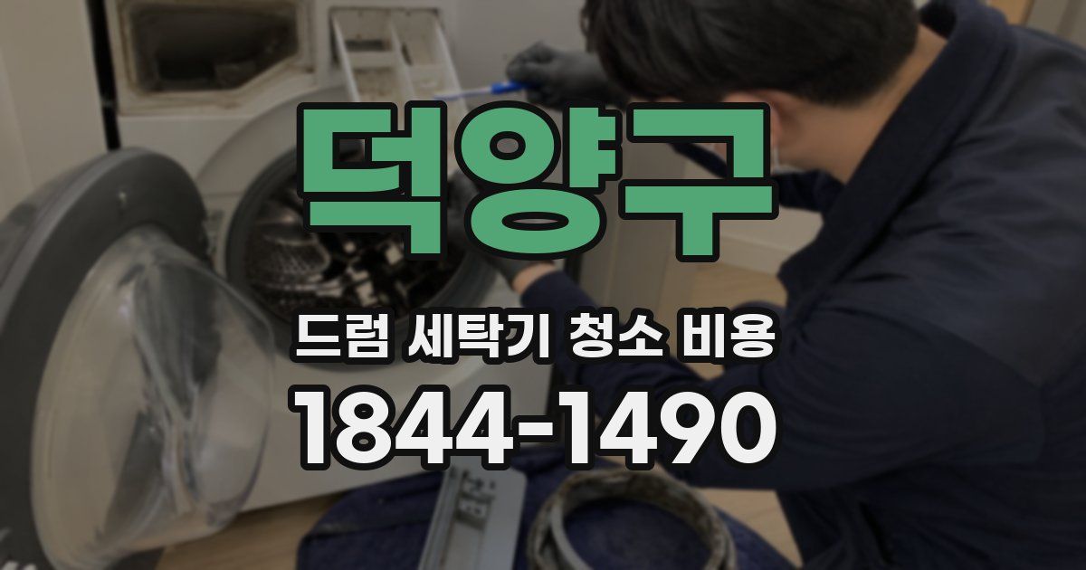 덕양구 드럼 세탁기 청소 비용