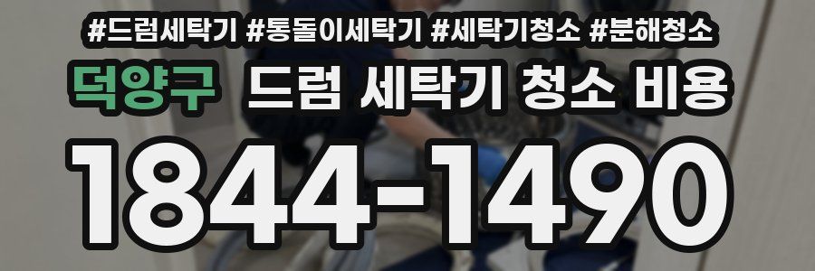 덕양구 드럼 세탁기 청소 비용