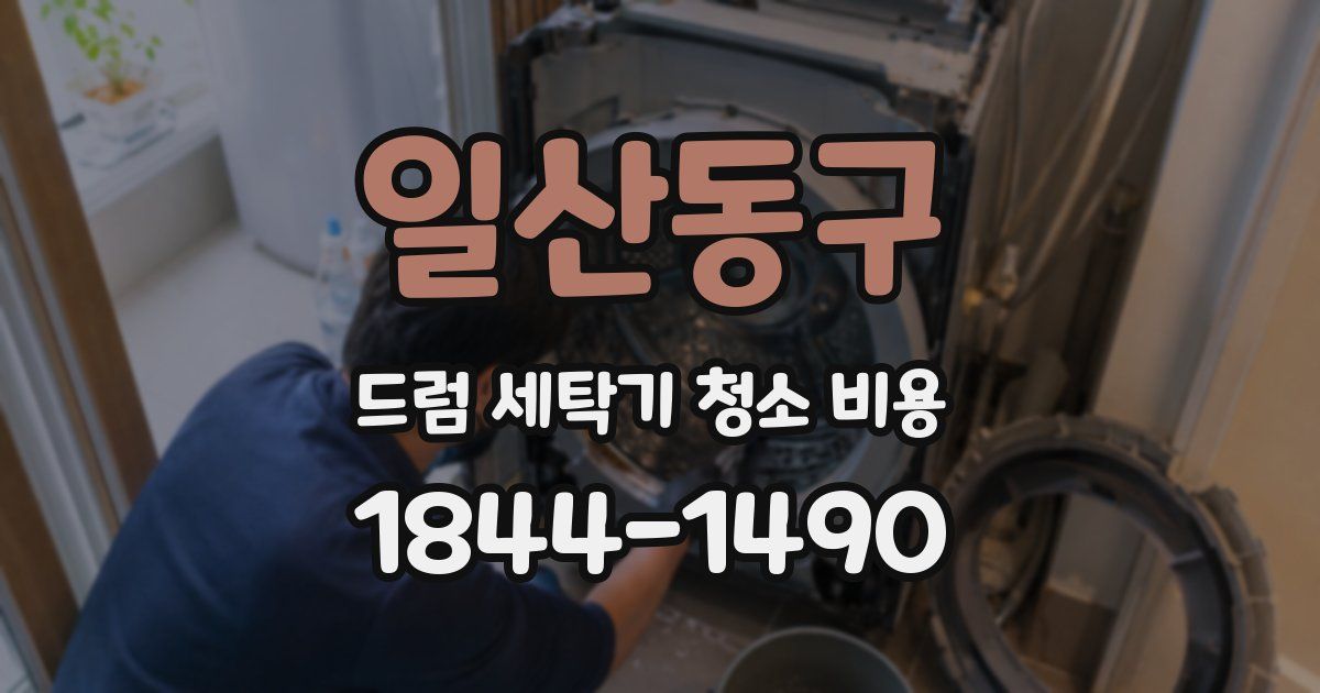 일산동구 드럼 세탁기 청소 비용