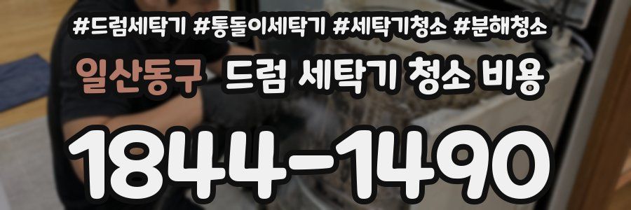 일산동구 드럼 세탁기 청소 비용