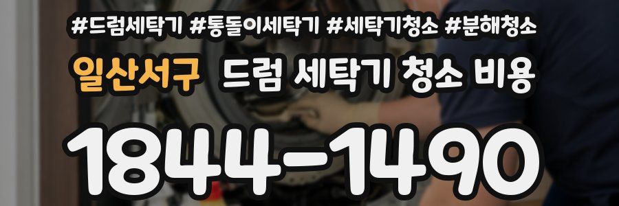 일산서구 드럼 세탁기 청소 비용