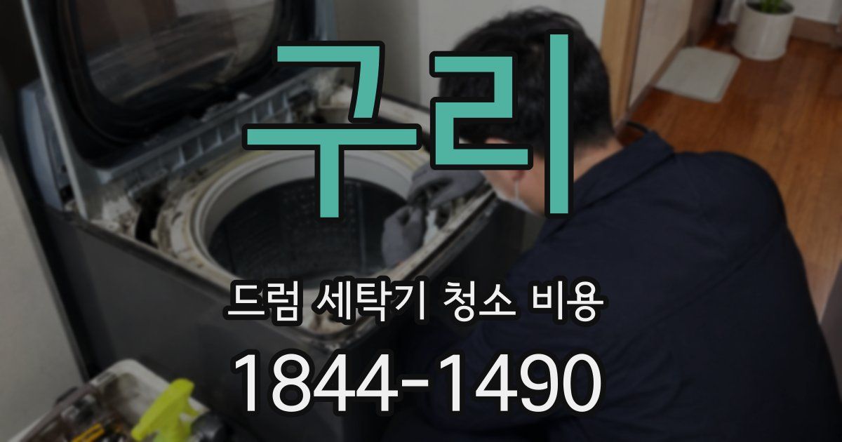 구리 드럼 세탁기 청소 비용