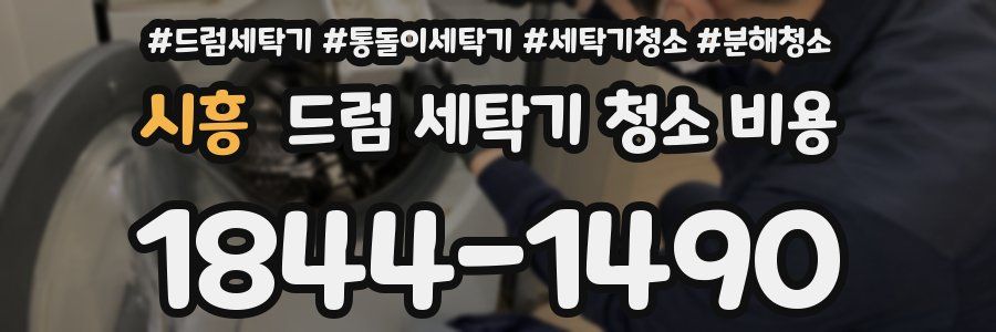 시흥 드럼 세탁기 청소 비용