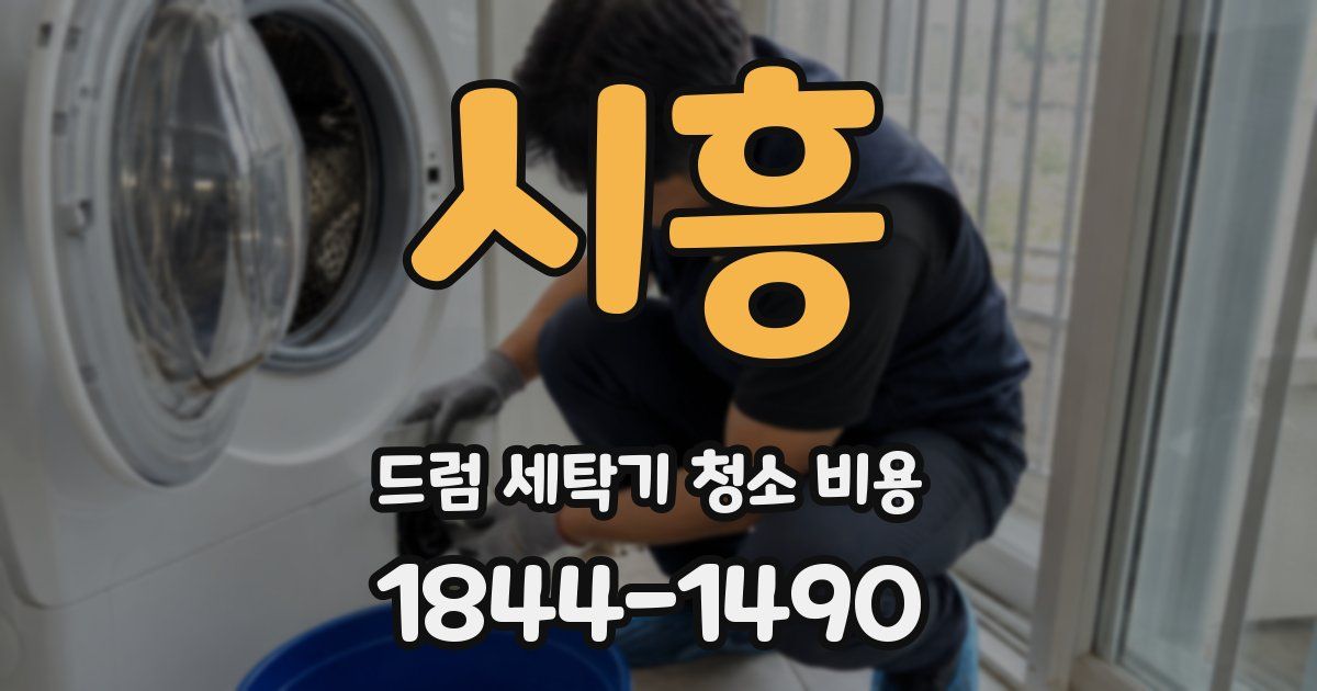 시흥 드럼 세탁기 청소 비용