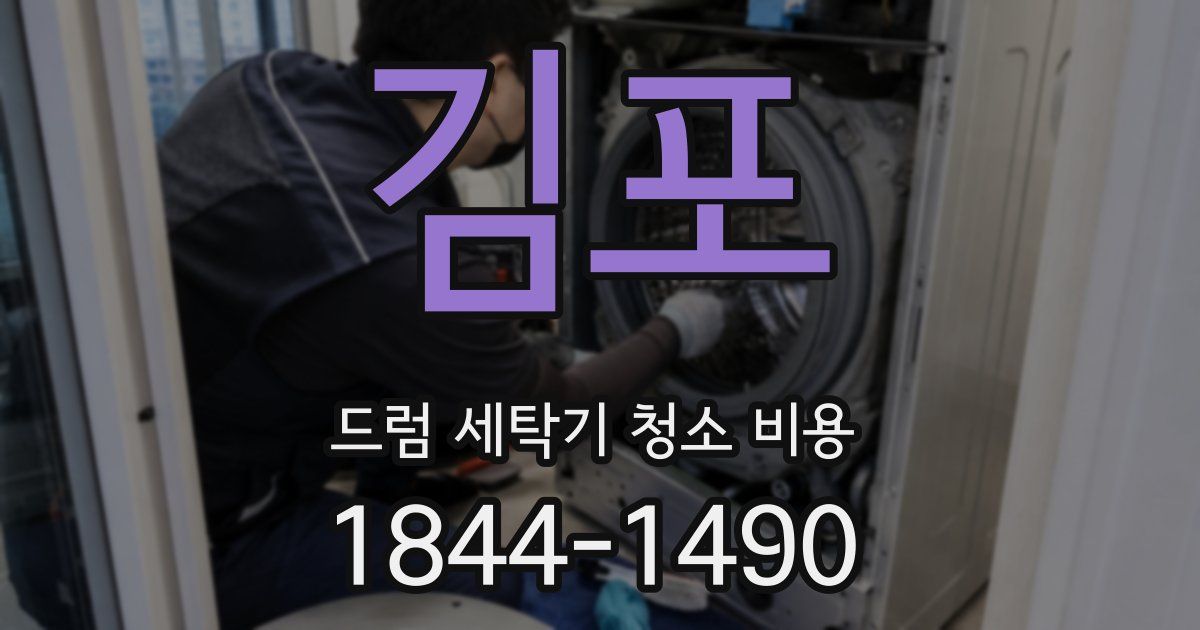 김포 드럼 세탁기 청소 비용