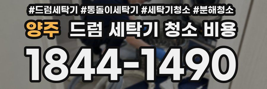 양주 드럼 세탁기 청소 비용