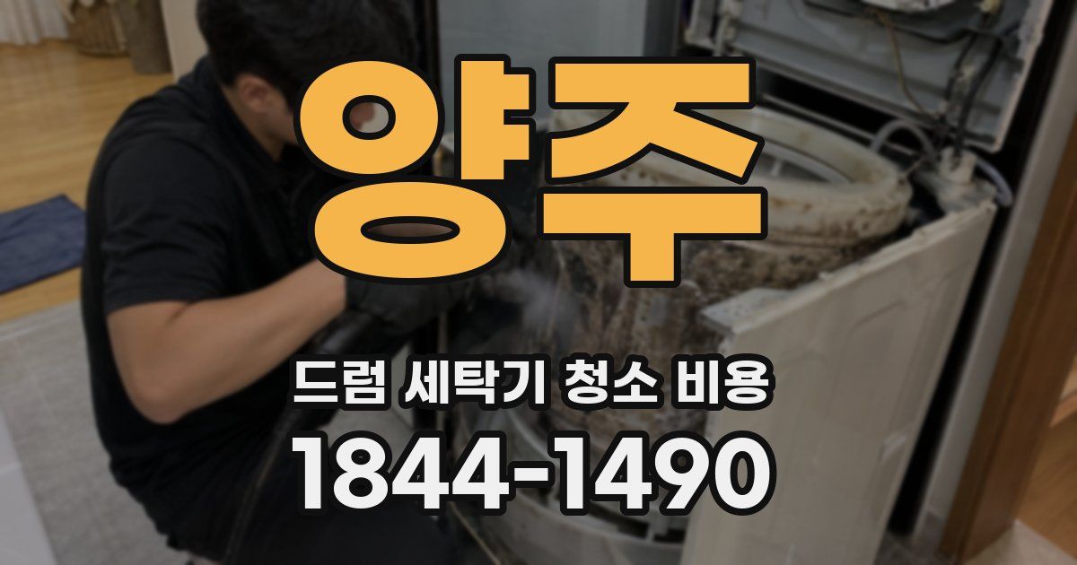 양주 드럼 세탁기 청소 비용