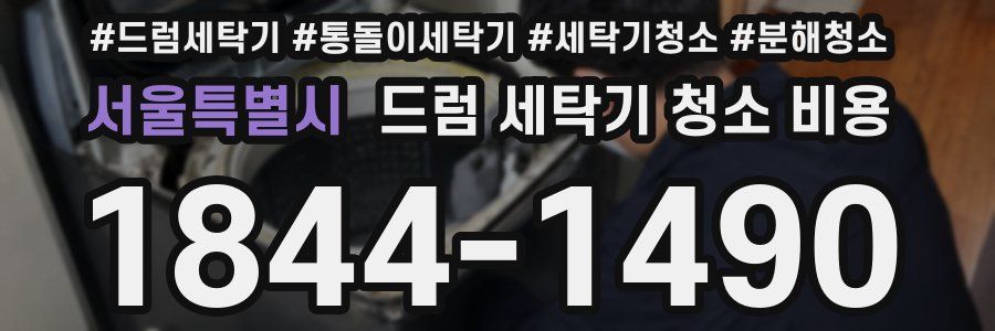 서울특별시 드럼 세탁기 청소 비용
