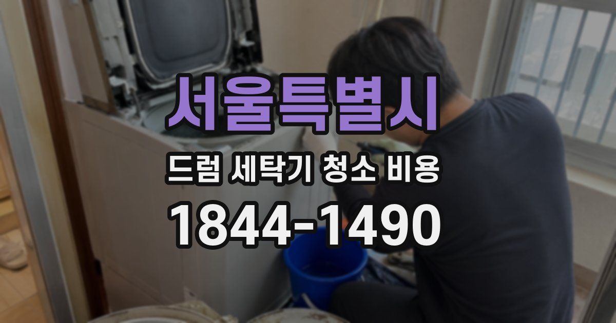 서울특별시 드럼 세탁기 청소 비용