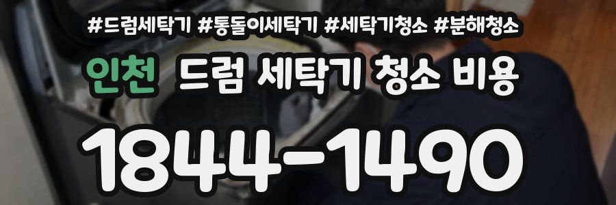 인천 드럼 세탁기 청소 비용