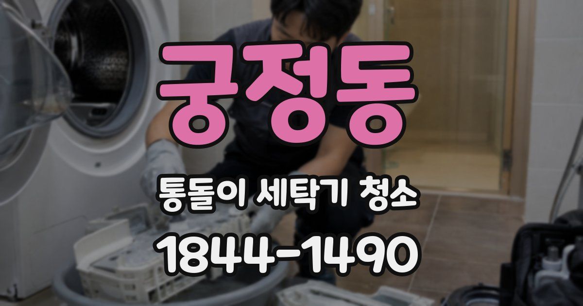 궁정동 통돌이 세탁기 청소