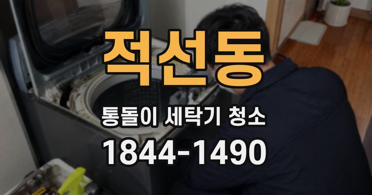 적선동 통돌이 세탁기 청소