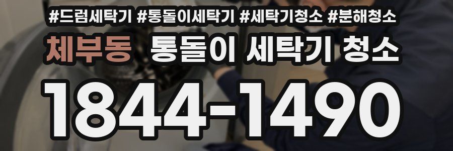 체부동 통돌이 세탁기 청소