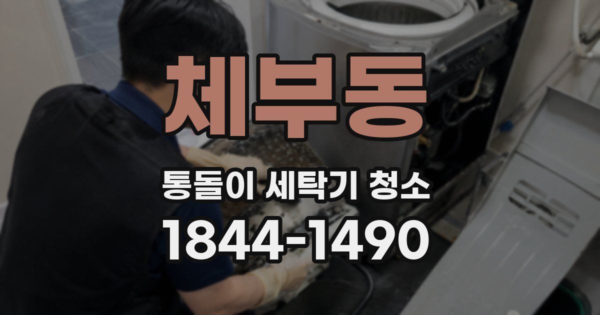 체부동 통돌이 세탁기 청소