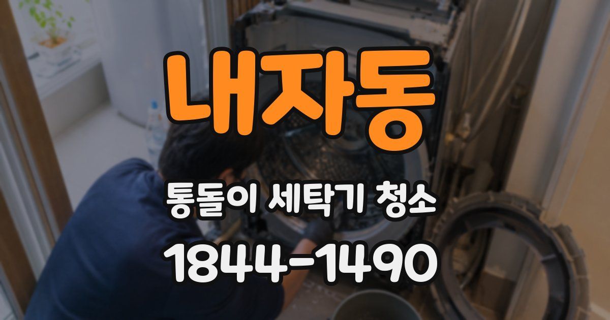 내자동 통돌이 세탁기 청소