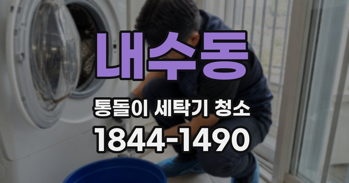 내수동 통돌이 세탁기 청소