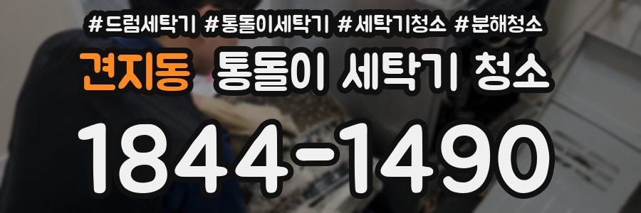 견지동 통돌이 세탁기 청소
