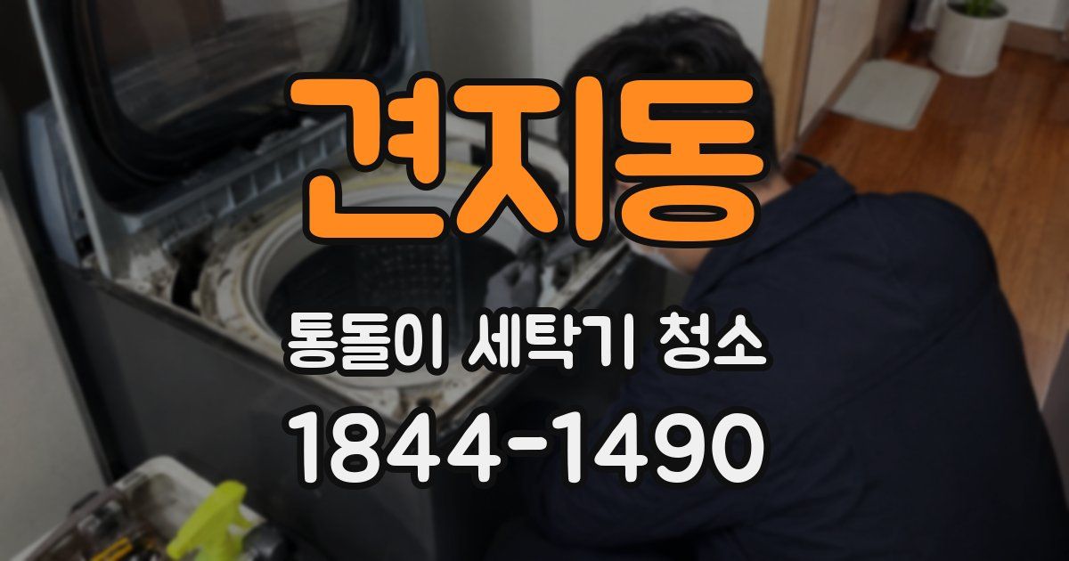 견지동 통돌이 세탁기 청소