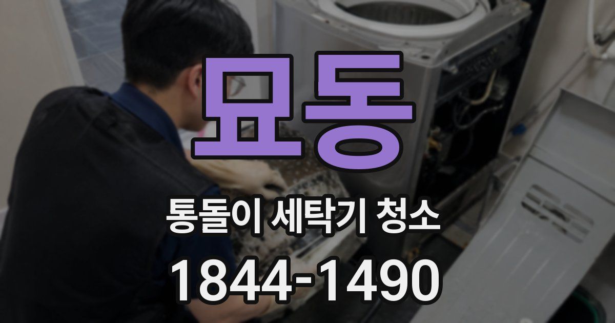 묘동 통돌이 세탁기 청소