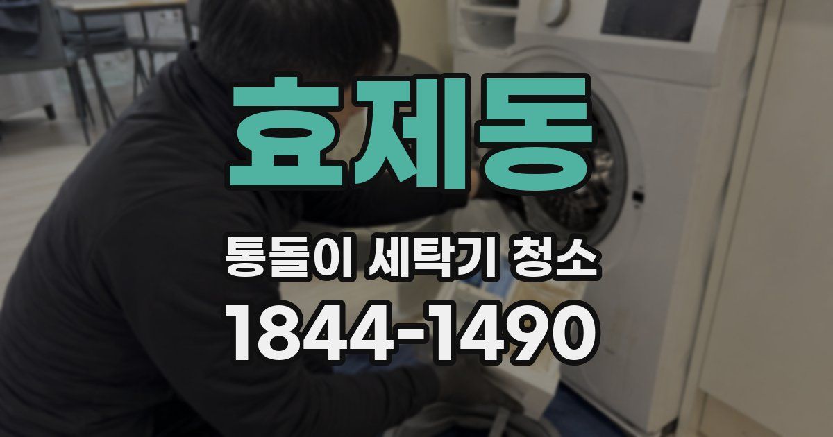 효제동 통돌이 세탁기 청소