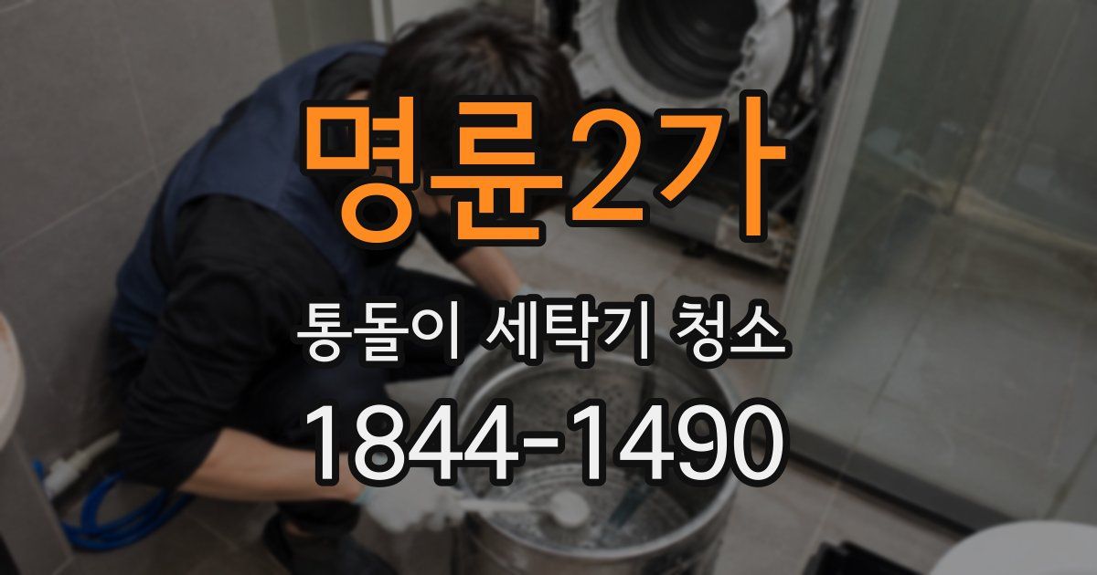 명륜2가 통돌이 세탁기 청소