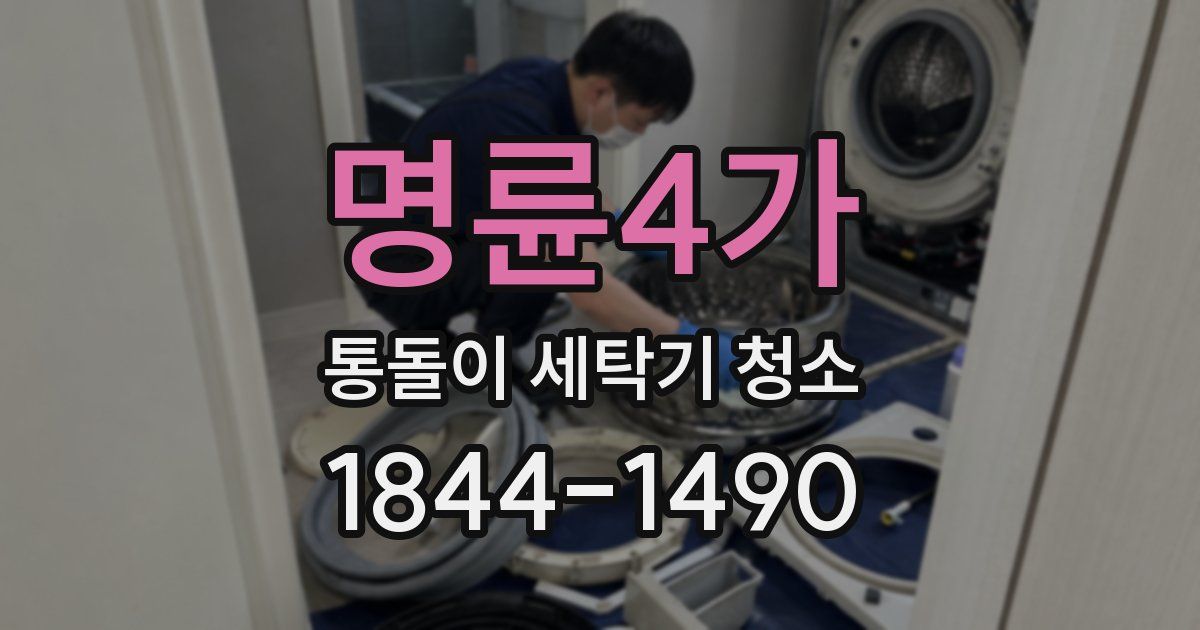명륜4가 통돌이 세탁기 청소