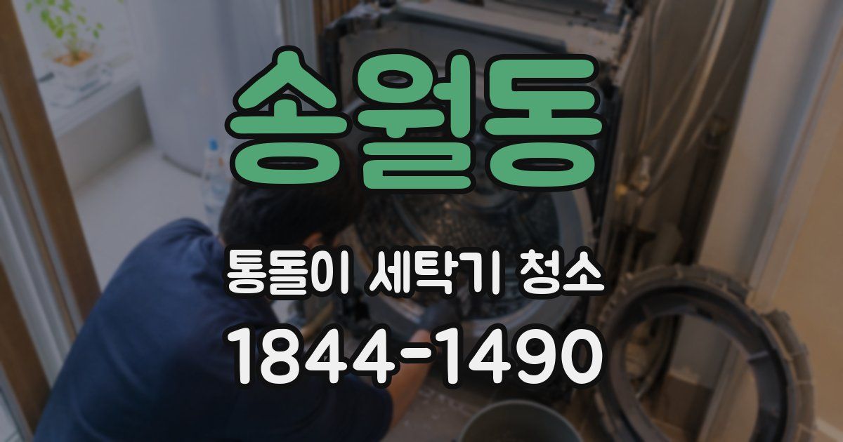 송월동 통돌이 세탁기 청소