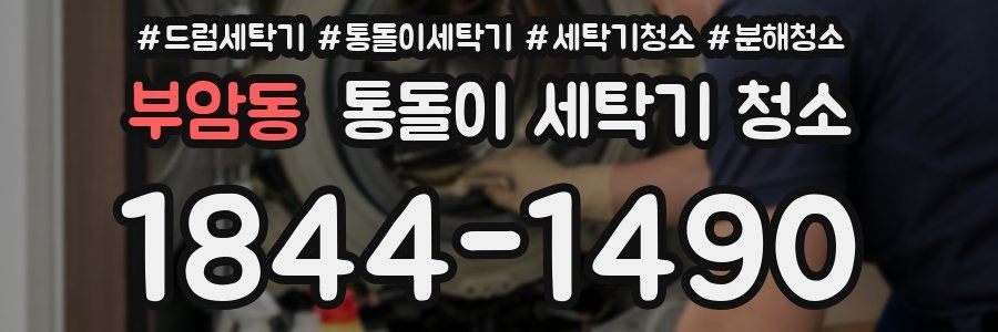 부암동 통돌이 세탁기 청소