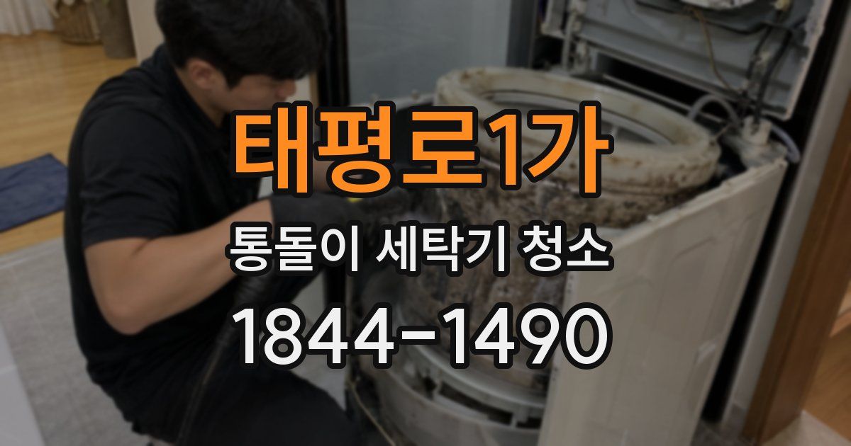 태평로1가 통돌이 세탁기 청소