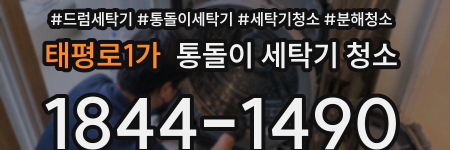 태평로1가 통돌이 세탁기 청소