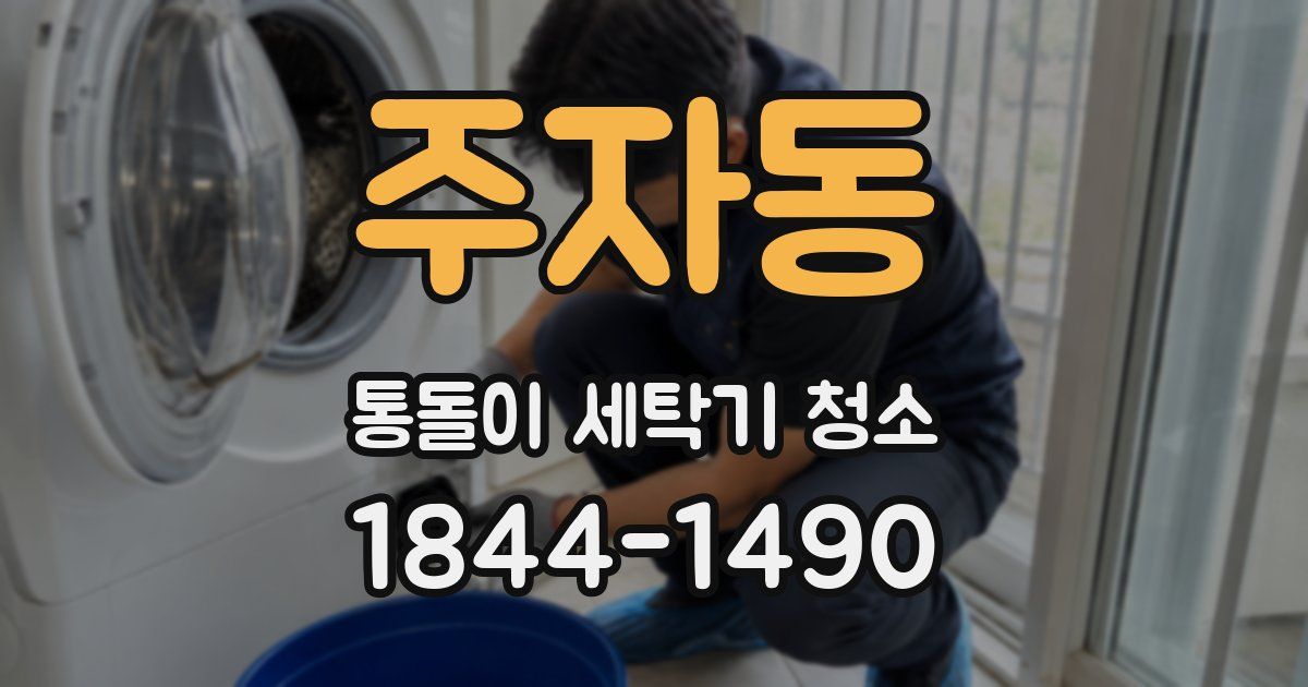 주자동 통돌이 세탁기 청소