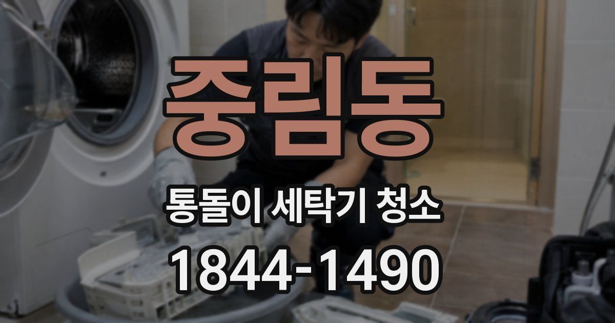 중림동 통돌이 세탁기 청소