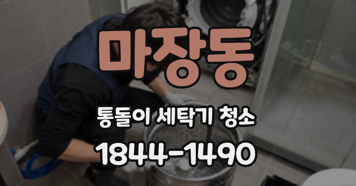 마장동 통돌이 세탁기 청소