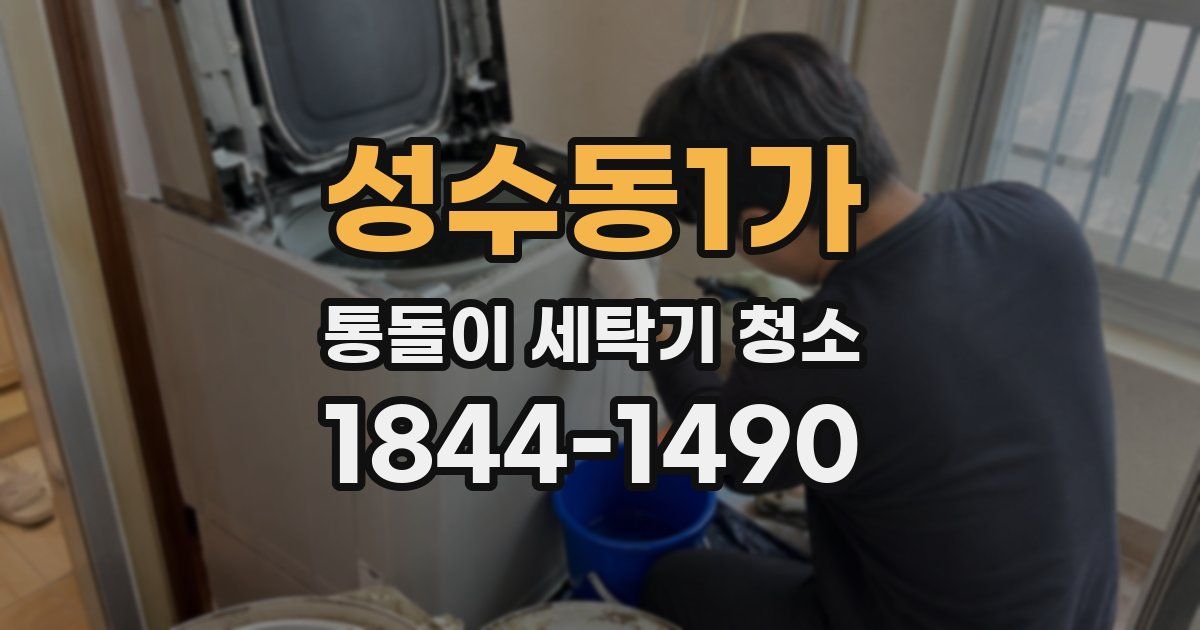 성수동1가 통돌이 세탁기 청소