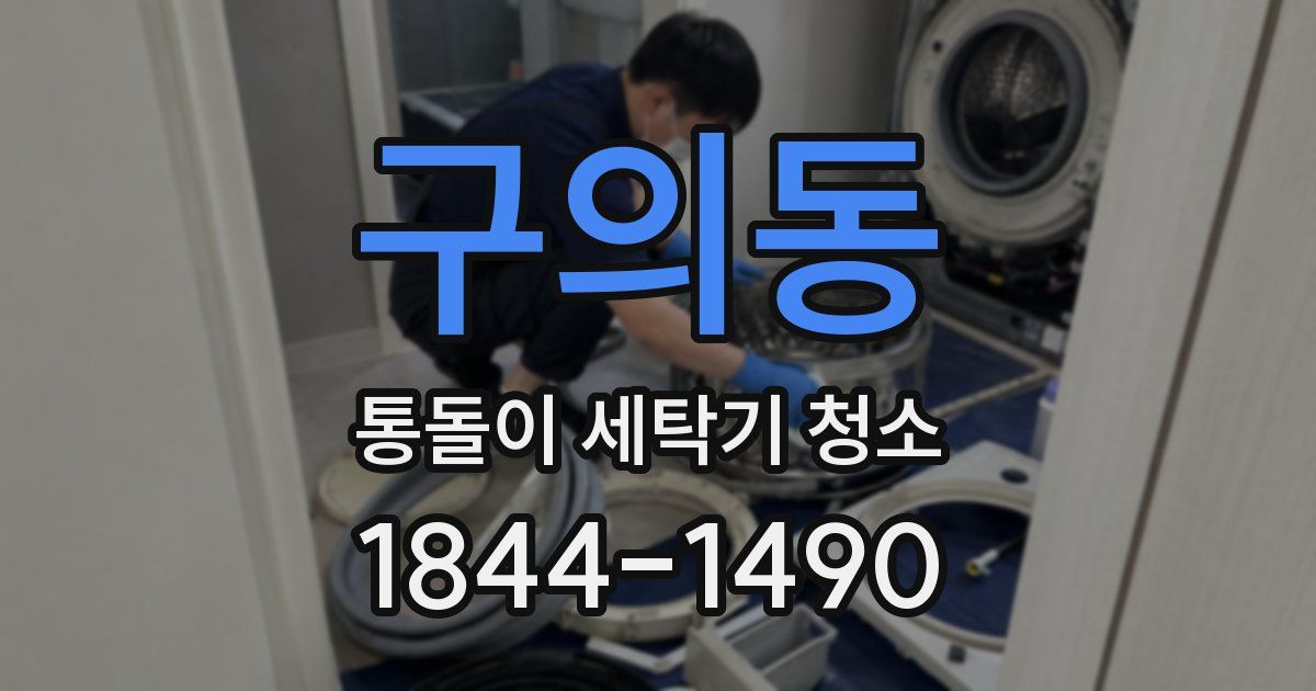 구의동 통돌이 세탁기 청소