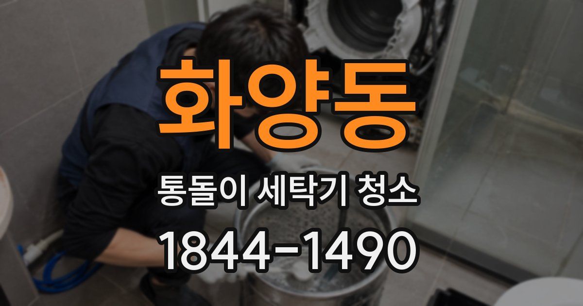 화양동 통돌이 세탁기 청소
