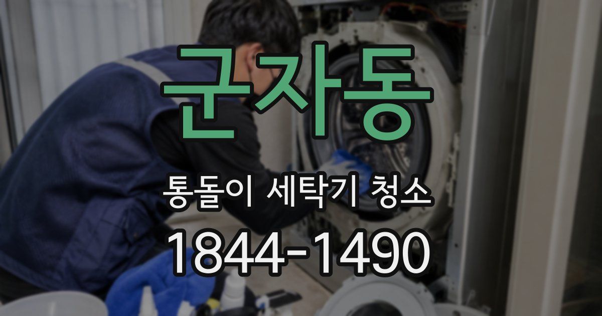 군자동 통돌이 세탁기 청소