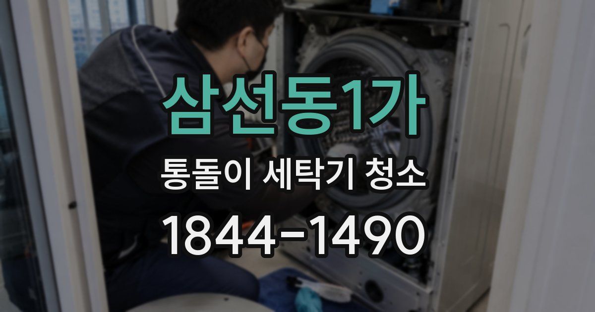 삼선동1가 통돌이 세탁기 청소