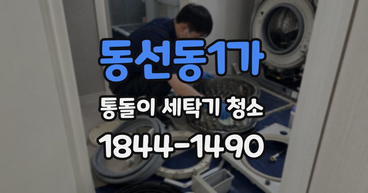 동선동1가 통돌이 세탁기 청소