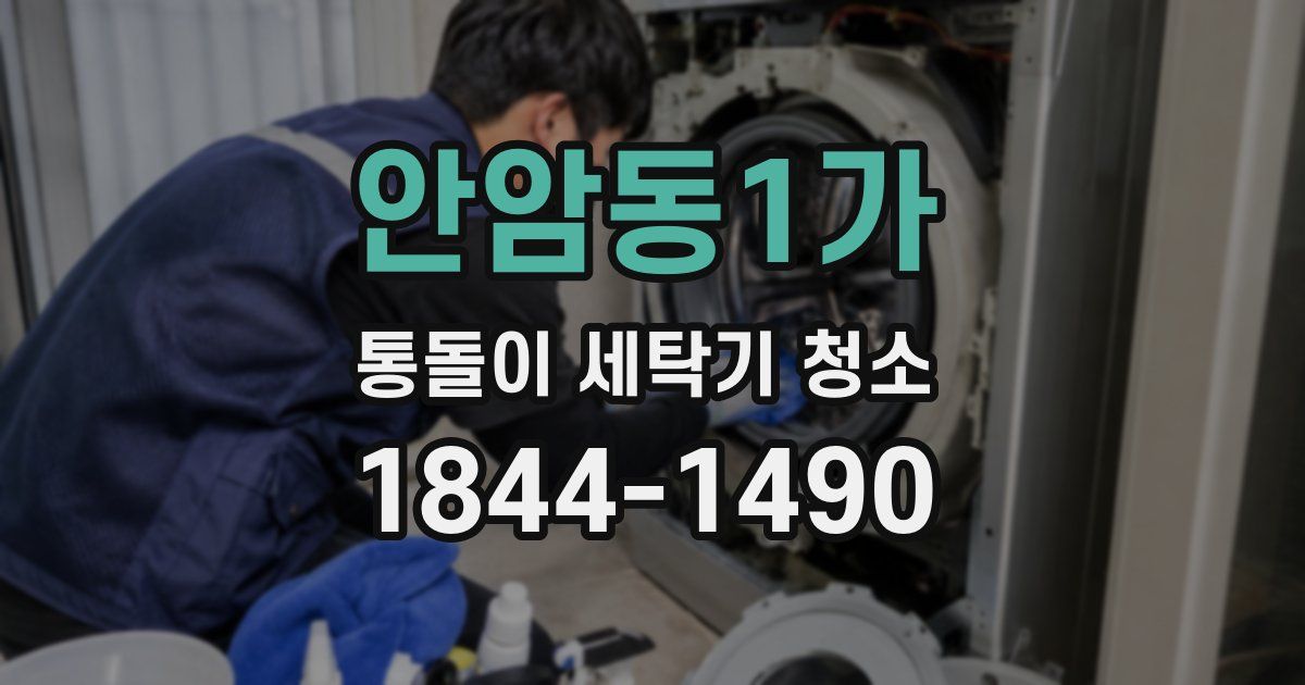 안암동1가 통돌이 세탁기 청소