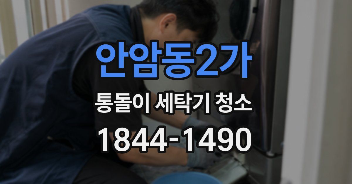 안암동2가 통돌이 세탁기 청소