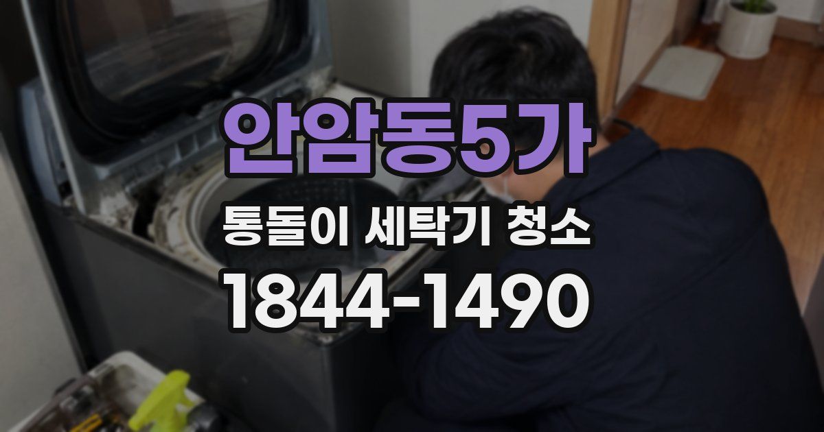 안암동5가 통돌이 세탁기 청소