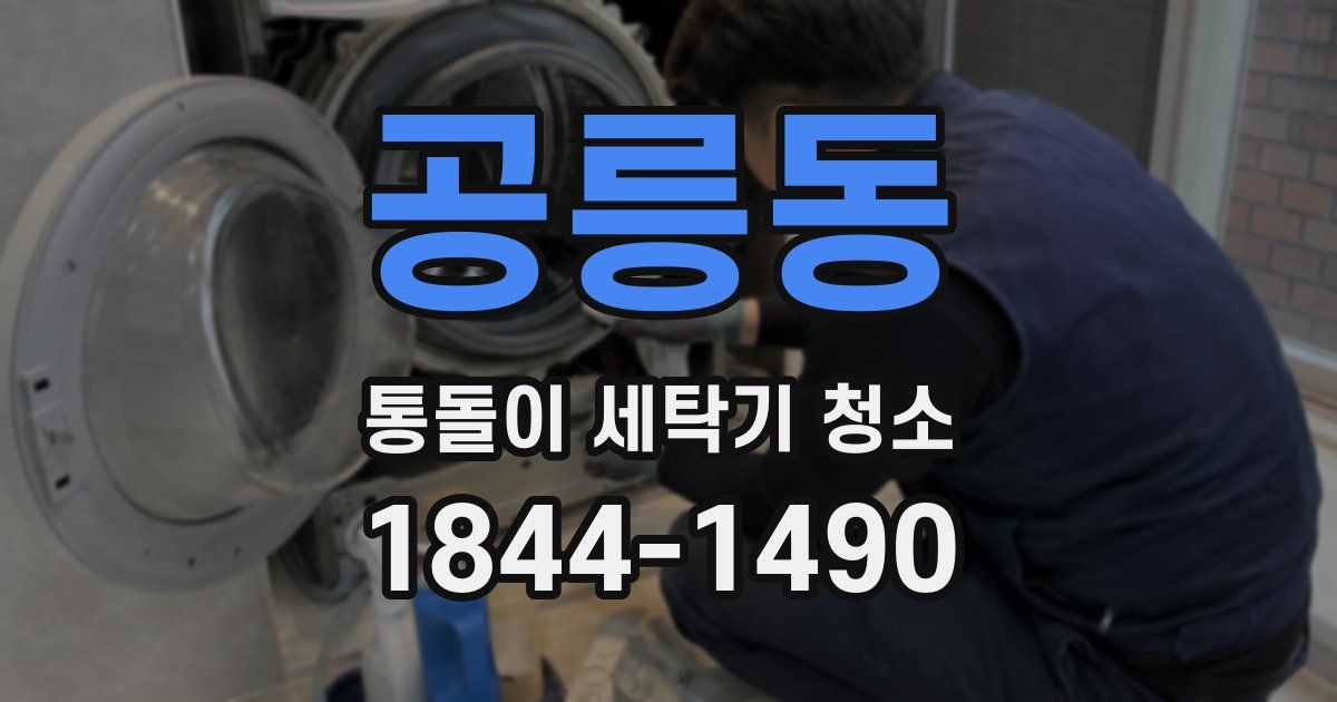 공릉동 통돌이 세탁기 청소