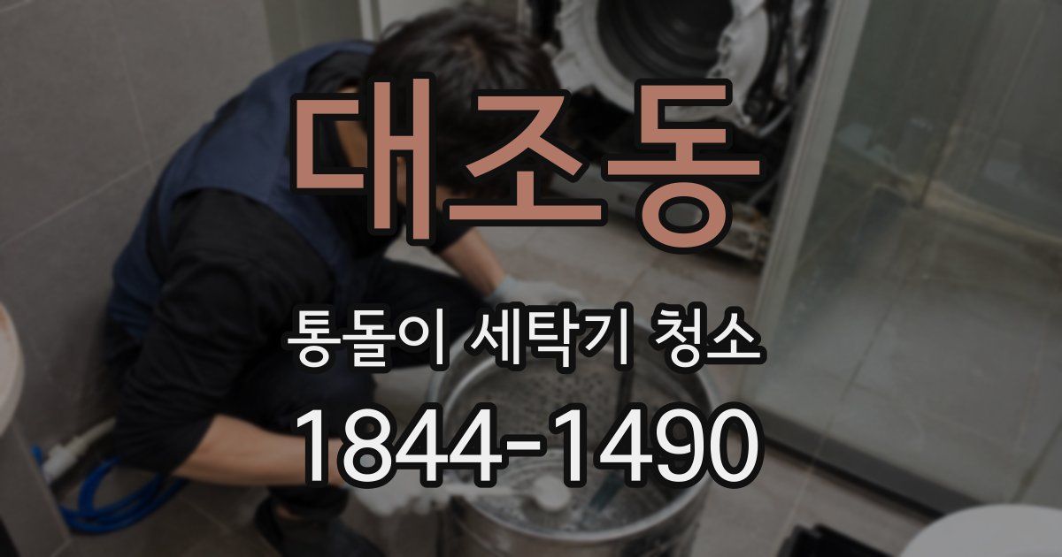 대조동 통돌이 세탁기 청소
