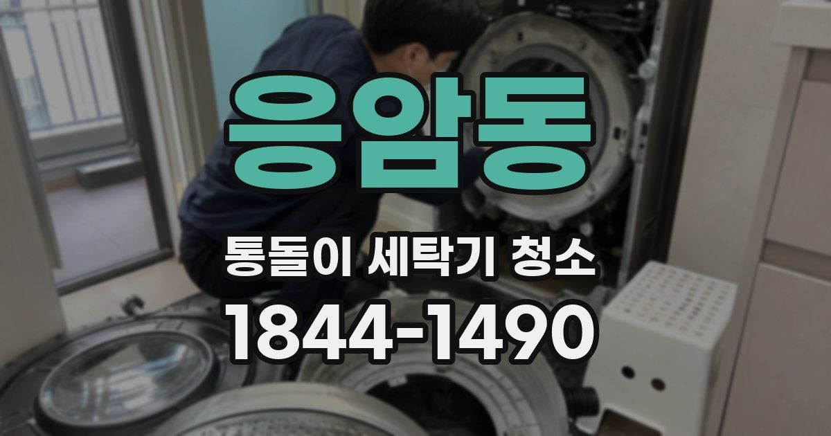 응암동 통돌이 세탁기 청소