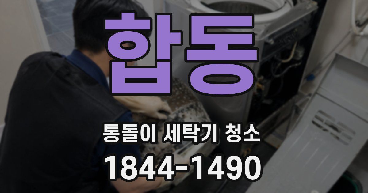 합동 통돌이 세탁기 청소