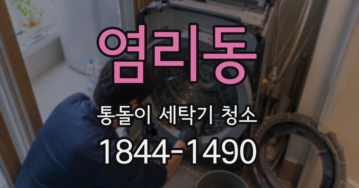 염리동 통돌이 세탁기 청소